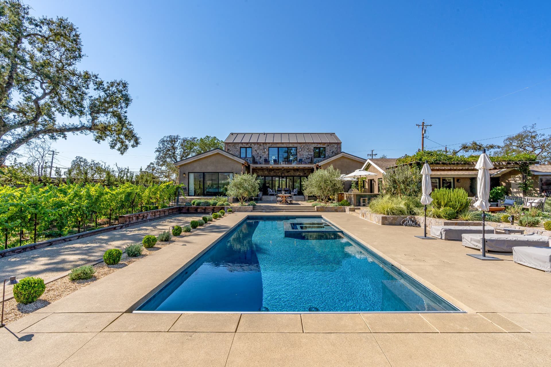 Napa Valley estate with lap pool, olive trees and vineyard rows