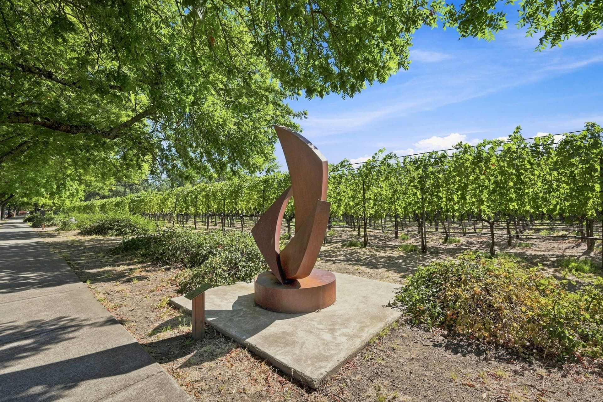 Sculpture beside a shaded vineyard walking path in Yountville