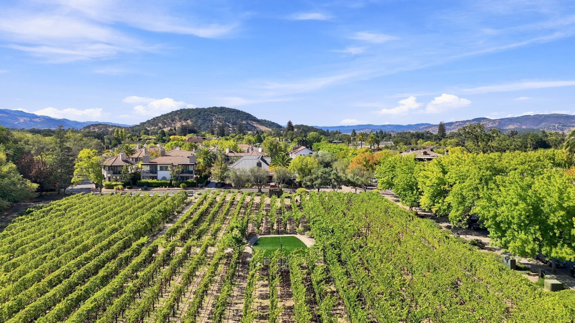 Rows of grapevines leading toward Mediterranean-style estate buildings and rolling hills in Napa Valley, CA